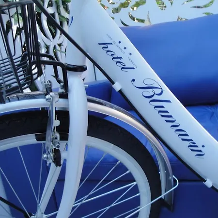 Boutique Blumarin מלון 3*