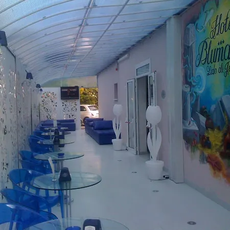 酒店 Blumarin 3*