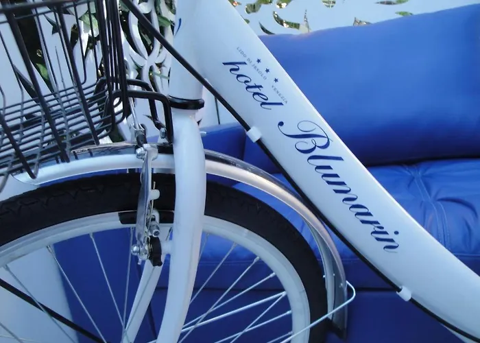 Blumarin ホテル 3*